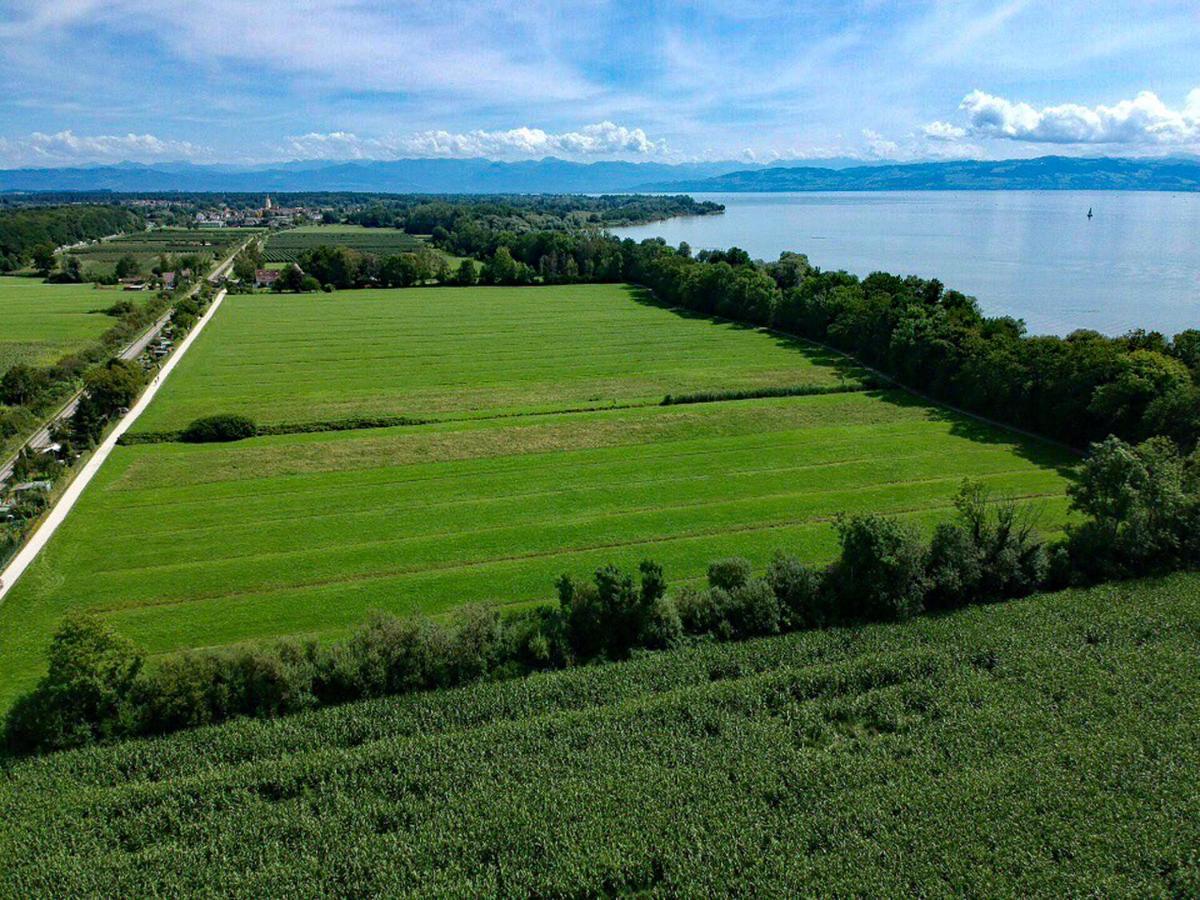 Ferien-Apartment Eisvogel Im Naturschutzgebiet Mit Privatstrand ฟรีดริชส์ฮาเฟน ภายนอก รูปภาพ