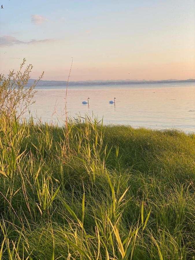 Ferien-Apartment Eisvogel Im Naturschutzgebiet Mit Privatstrand ฟรีดริชส์ฮาเฟน ภายนอก รูปภาพ