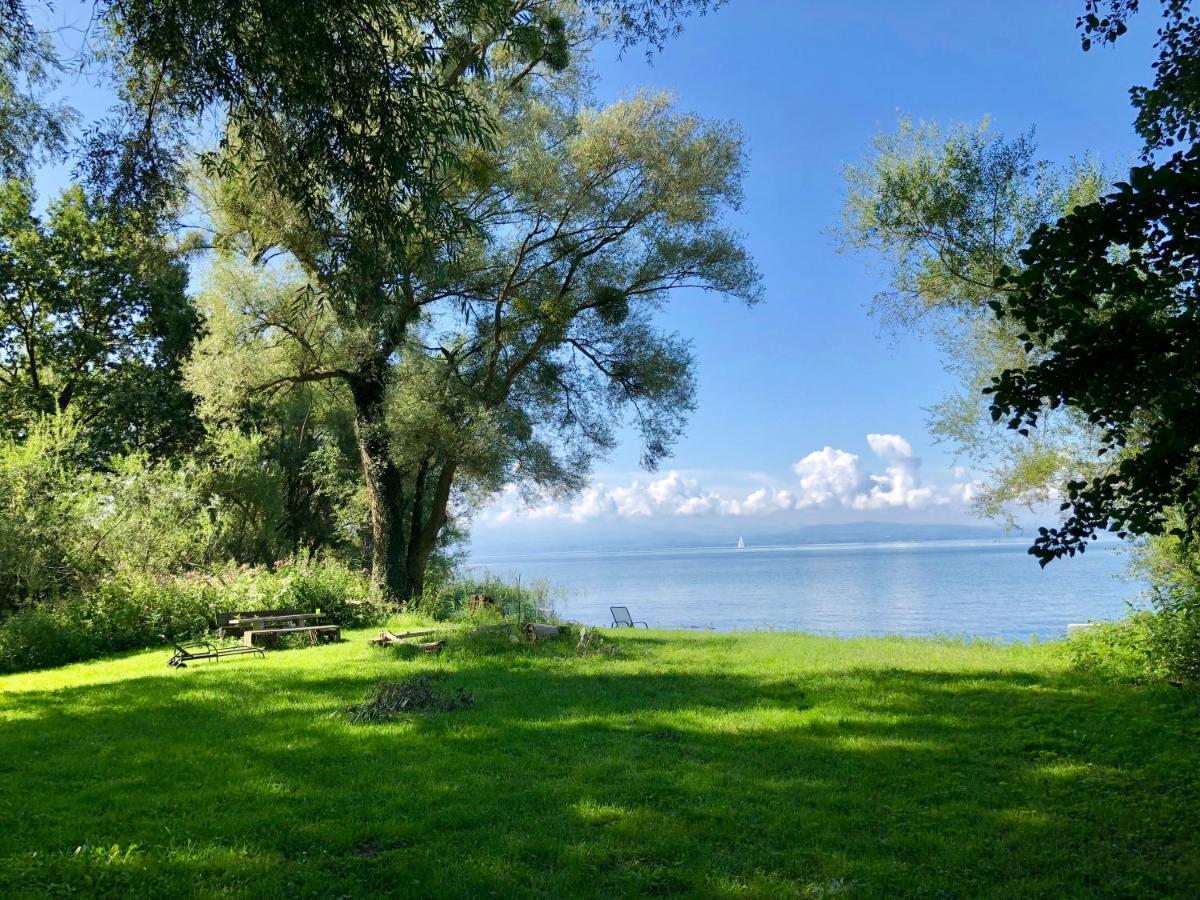 Ferien-Apartment Eisvogel Im Naturschutzgebiet Mit Privatstrand ฟรีดริชส์ฮาเฟน ภายนอก รูปภาพ