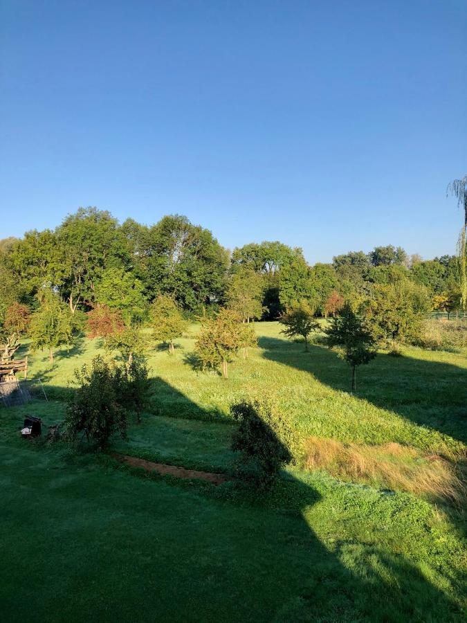 Ferien-Apartment Eisvogel Im Naturschutzgebiet Mit Privatstrand ฟรีดริชส์ฮาเฟน ภายนอก รูปภาพ